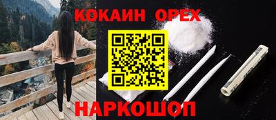 эйфоретик Владимир