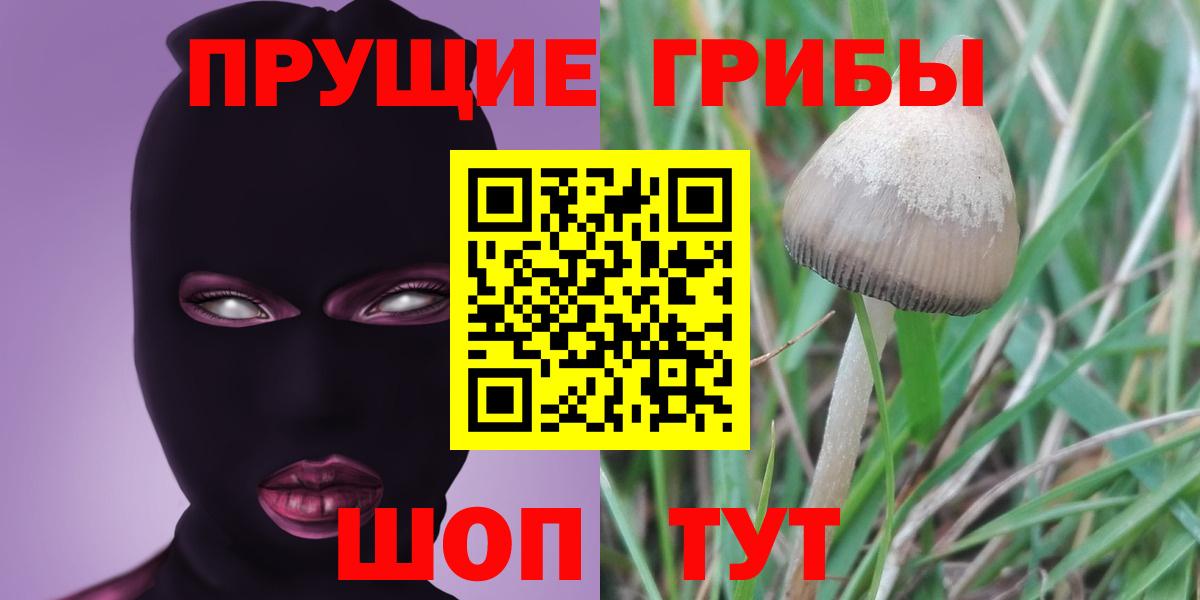 Псилоцибиновые грибы Psilocybine cubensis  Вход с VPN  Галлюциногенные грибы Psilocybe  Павлово 